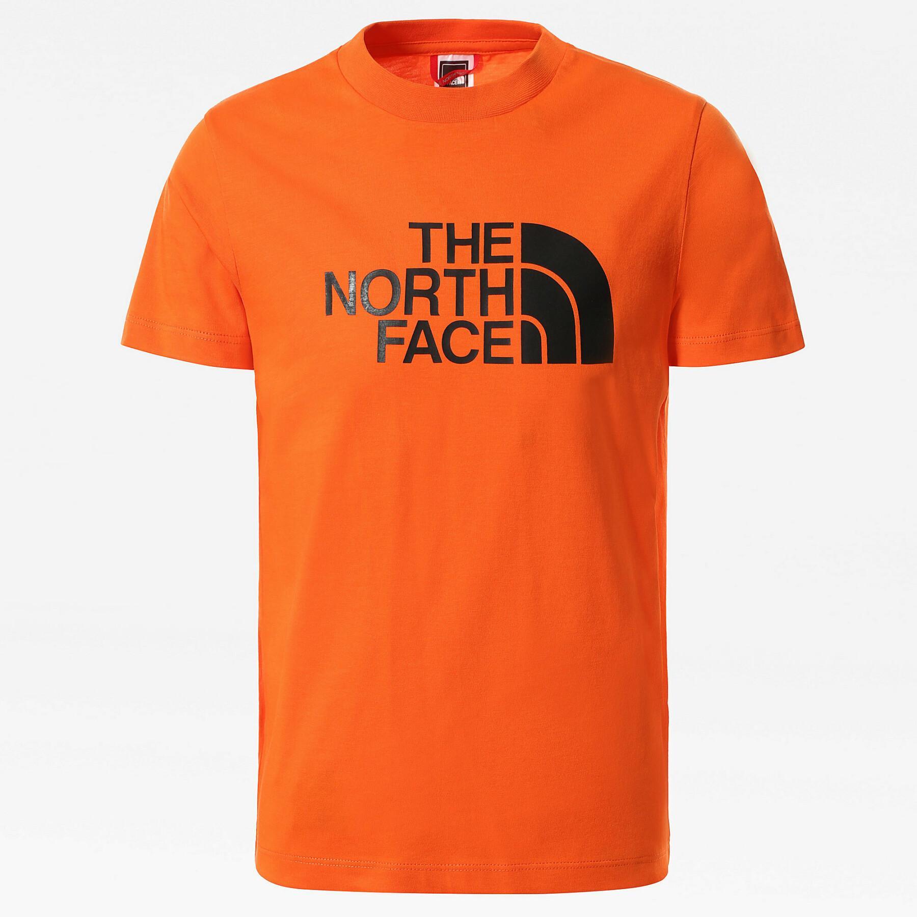 Camiseta niños The North Face Easy