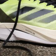Zapatos de running adidas Adizero Boston 12