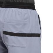 Pantalón corto adidas Terrex Liteflex