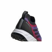Zapatillas de trail adidas Terrex Two Primeblue