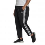 Pantalones de mujer adidas Sportswear Wrapped 3-Bandes Snap Grande Taille