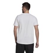 Camiseta adidas Terrex Pocket Graphic